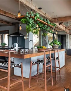 a kitchen with wooden floors and an island in the center, surrounded by hanging potted plants