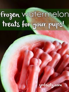 watermelon treats for your pups are great to eat and keep them warm