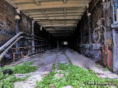 an abandoned train station with graffiti on the walls and ceiling, along with weeds growing in the foreground