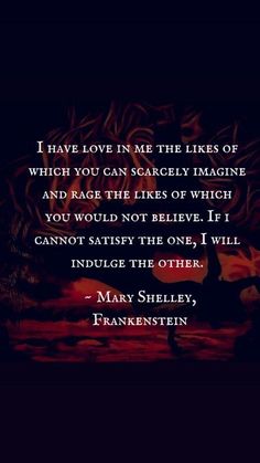 a quote from mary sheiley on the subject of her novel, i have love in