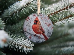 a red bird ornament hanging from a christmas tree