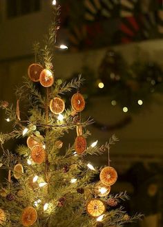 a small christmas tree decorated with oranges and lights