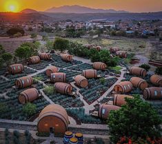 the sun is setting over several barrels in an outdoor area with many trees and bushes