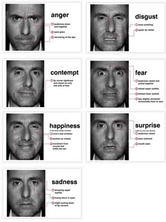 an image of different facial expressions in the same person's face, with their corresponding parts labeled