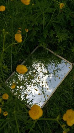 a mirror is sitting in the grass with yellow flowers