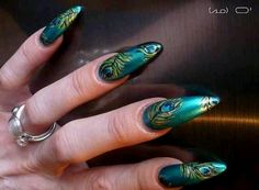 Peacock feather!! Peacock Feather Nail Art, Turquoise Nail Designs, Feather Nail, Bday Nails