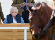 an elderly woman sitting on a bench next to a horse and another man standing behind her