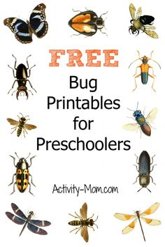 the words free bug printables for preschoolers are in front of an image of bugs