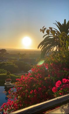 the sun is setting over some pink flowers