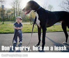 a young boy standing next to a large dog on a leash with his tongue hanging out