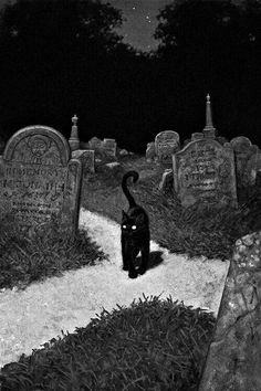 a black cat walking through a cemetery at night