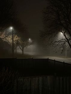 foggy night with street lights and trees in the foreground