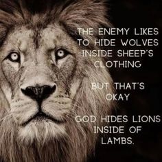 a lion's face with the words, the enemy likes to hide wolfies inside sheep's clothing but that's okay god hides lions inside of lambs