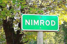 a green street sign sitting on the side of a road next to a lush green forest