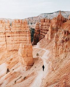 a person walking down a dirt path in the middle of canyons and cliffs with trees on both sides