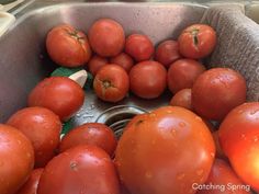 tomatoes in a sink with water droplets on them