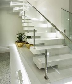 there is a white staircase with glass railings on the side and a potted plant next to it