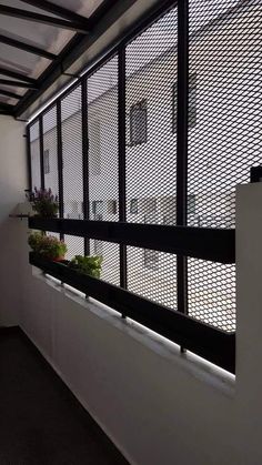 a window with some plants on the ledge