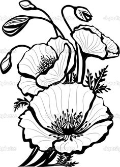 Art Nouveau Poppy Design, Poppy Flower Drawing, Drawing Of Flowers, Poppy Drawing, Tiny Tattoo, Poppy Painting, Floral Drawing, Poppy Flowers, Pola Sulam