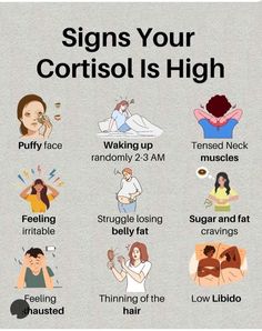 How To Lower High Cortisol, Cortisol Lowering Diet, Lose Cortisol Belly, Cortisol Lowering Foods, Lower Cortisol Drink, How To Reduce Cortisol, Signs Of High Cortisol, High Cortisol Diet Plan, Low Cortisol Diet