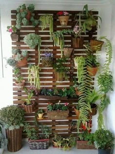 a wall mounted planter filled with lots of potted plants