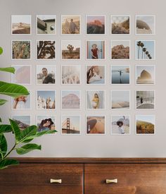 a wooden dresser sitting next to a wall with pictures on the wall and a potted plant in front of it