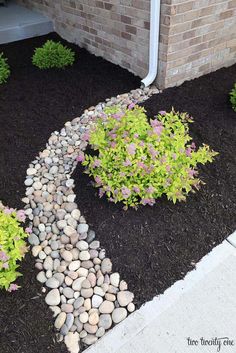 a garden with rocks and flowers in it