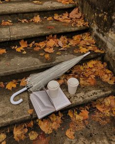 an umbrella, cup and book on the steps in front of some stairs with fallen leaves