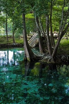 the water is crystal blue and green in this area with trees on both sides, and a wooden bridge over it