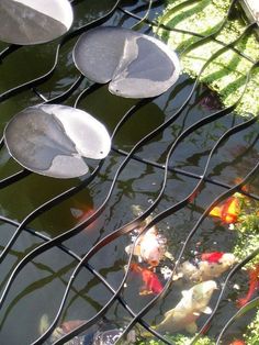 several fish swimming in a pond behind a wire fence with metal grates on it