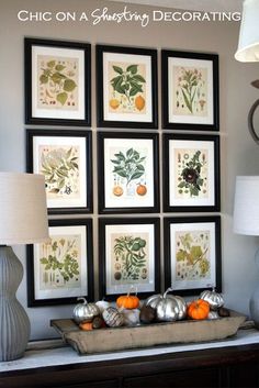 a living room with pictures on the wall and various pumpkins in front of it