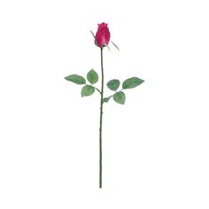 a single pink rose with green leaves on a white background