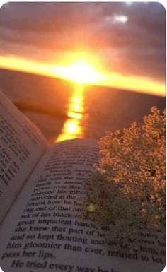 an open book with the sun setting in the background