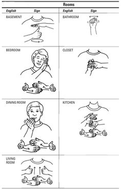 an image of different types of hands and fingers