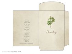 an open envelope with a drawing of a plant on it and the words parsley written in cursive writing