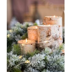 several lit candles sitting on top of a table covered in evergreen branches and pine cones