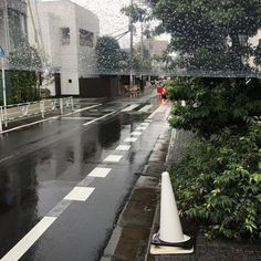 a wet street with trees and buildings in the background