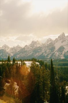 the mountains are covered with snow and trees in the foreground is a body of water