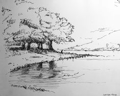 a drawing of a tree by the water