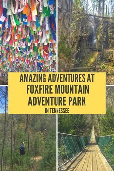 there are many different pictures with the words amazing adventures at foxfire mountain adventure park in tennessee