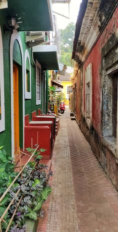 an alley way with green and red buildings on both sides, surrounded by greenery