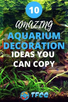 an aquarium with the words amazing aquarium decoration ideas you can copy