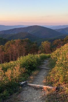 a trail leading to the top of a mountain with trees on both sides and mountains in the distance