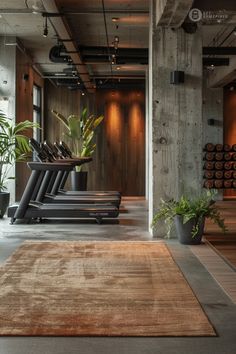 an indoor gym with rows of treadmills and potted plants