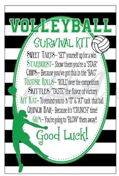 volleyball rules poster with green and black stripes on the bottom, white lettering that reads volleyball survival kit