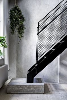 a stair case next to a window with a potted plant