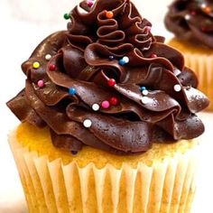 two cupcakes with chocolate frosting and sprinkles