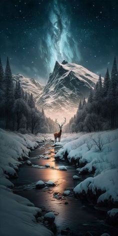 a deer standing in the middle of a snow covered forest next to a river under a night sky