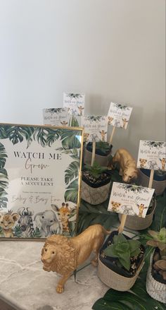 there are many small plants and animals on the table with signs in front of them