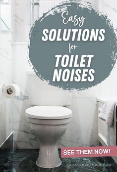 Fixing a High-Pitched Noise Coming from the Toilet	Easy Solutions for Toilet Noises - See them now! Diy Bathroom Plumbing, Clear Clogged Drain, Peaceful Bathroom, Rough Plumbing